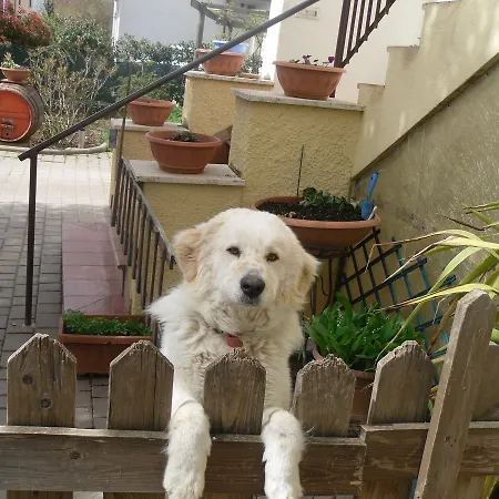 Da Angela - Con Bagno Privato A Vicino Al Centro Foligno