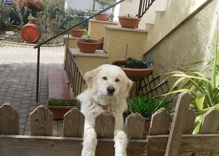 Da Angela - Con Bagno Privato A Vicino Al Centro Foligno